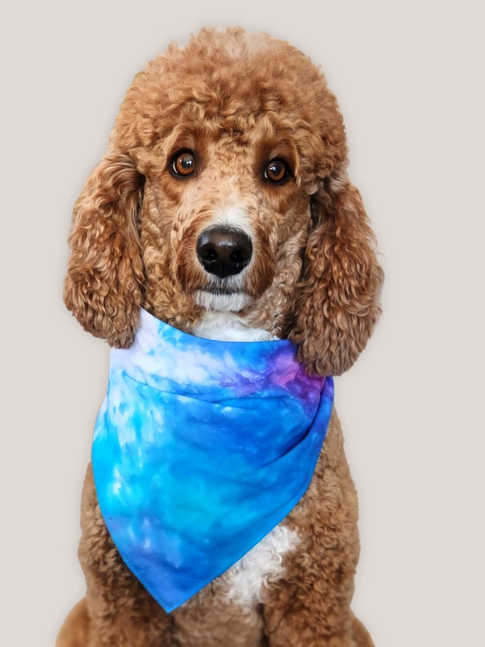 Wisteria Mist Tie Dye Bandana | Cotton Dog Pet Scarf Hand Dyed Blue